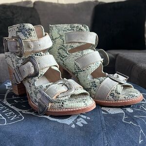 FREEBIRD by Steven Violet